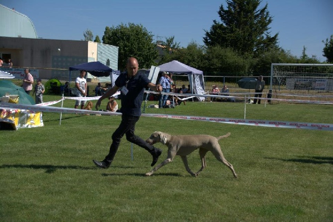 des sources de Gan de Loup - Eaudyssée et After à Aulnay de Saintonge (17)