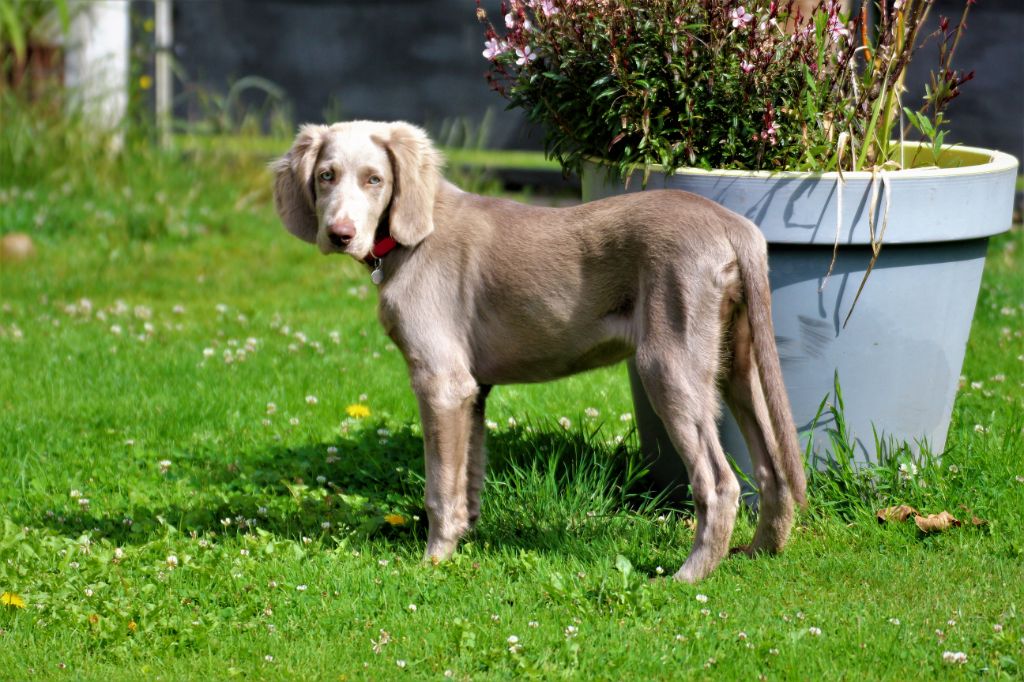 des sources de Gan de Loup - Une petite Reine chez les 