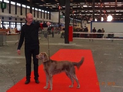 des sources de Gan de Loup - AFTER Championne de Gironde 2012