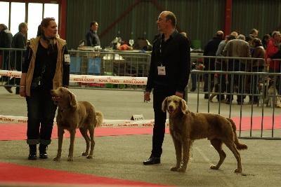 des sources de Gan de Loup - Les 