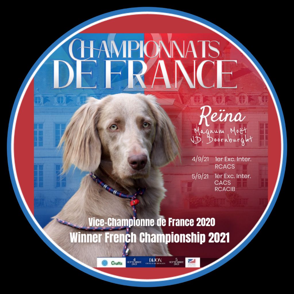 des sources de Gan de Loup - Double Championnat de France 2020 / 2021 Dijon, chateau de Brognon.